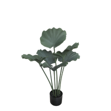 Indlæs billede til gallerivisning Fleur Plante