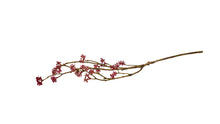 Indlæs billede til gallerivisning Blomstergren Bordeaux