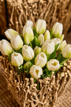 Indlæs billede til gallerivisning Tulipaner Bundt